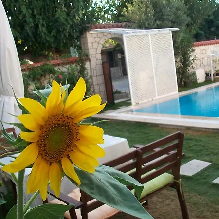 Munevver Abla Ev Алачати
